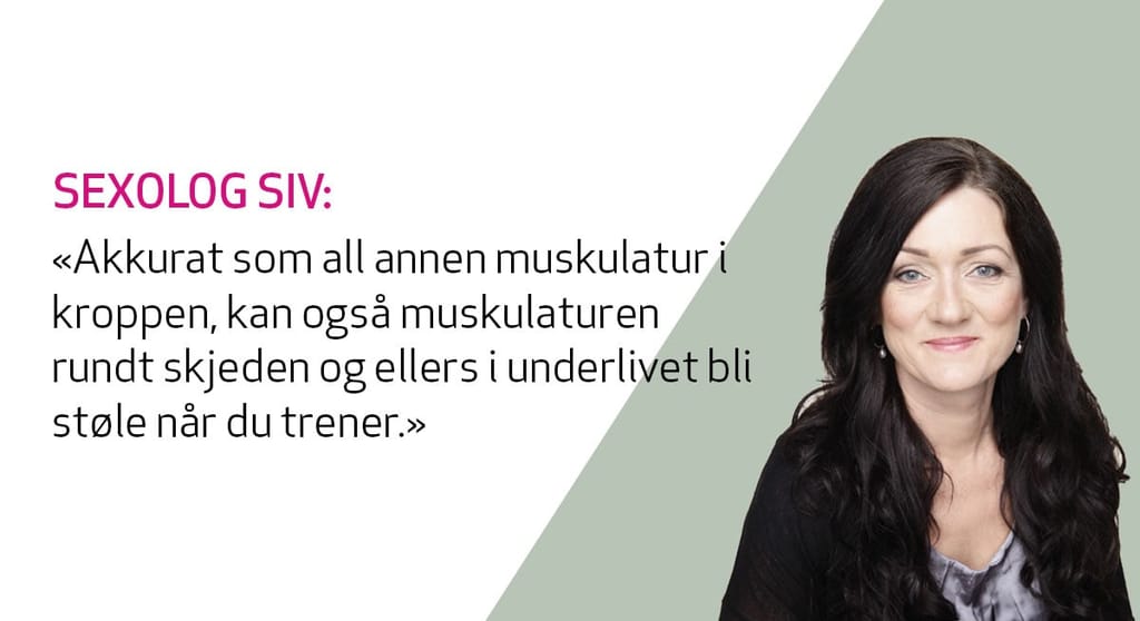 Artikkelbilde